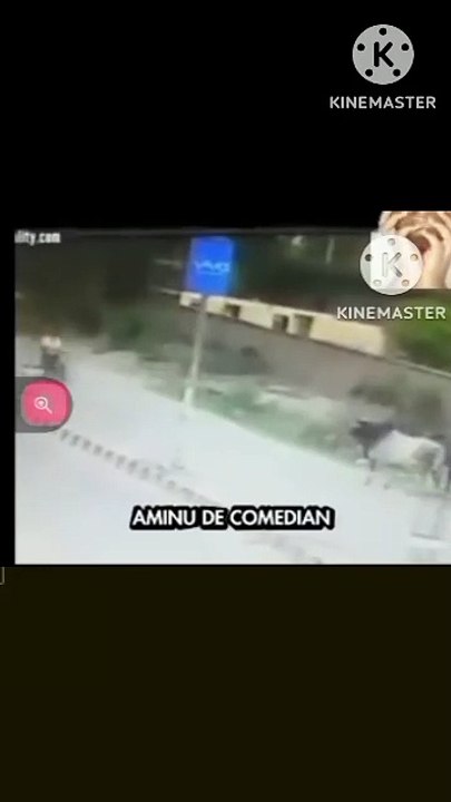 Bull vs man