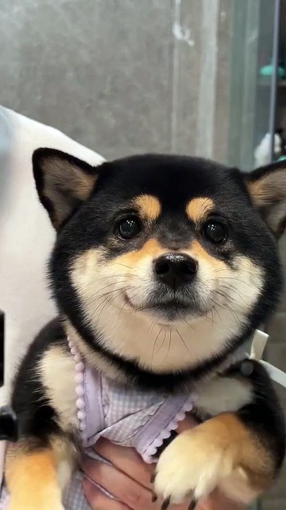 Well done my son🤣