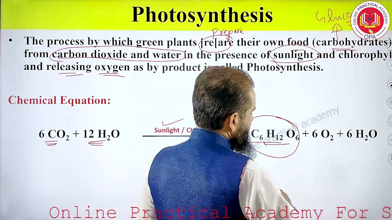 Photosynthesis