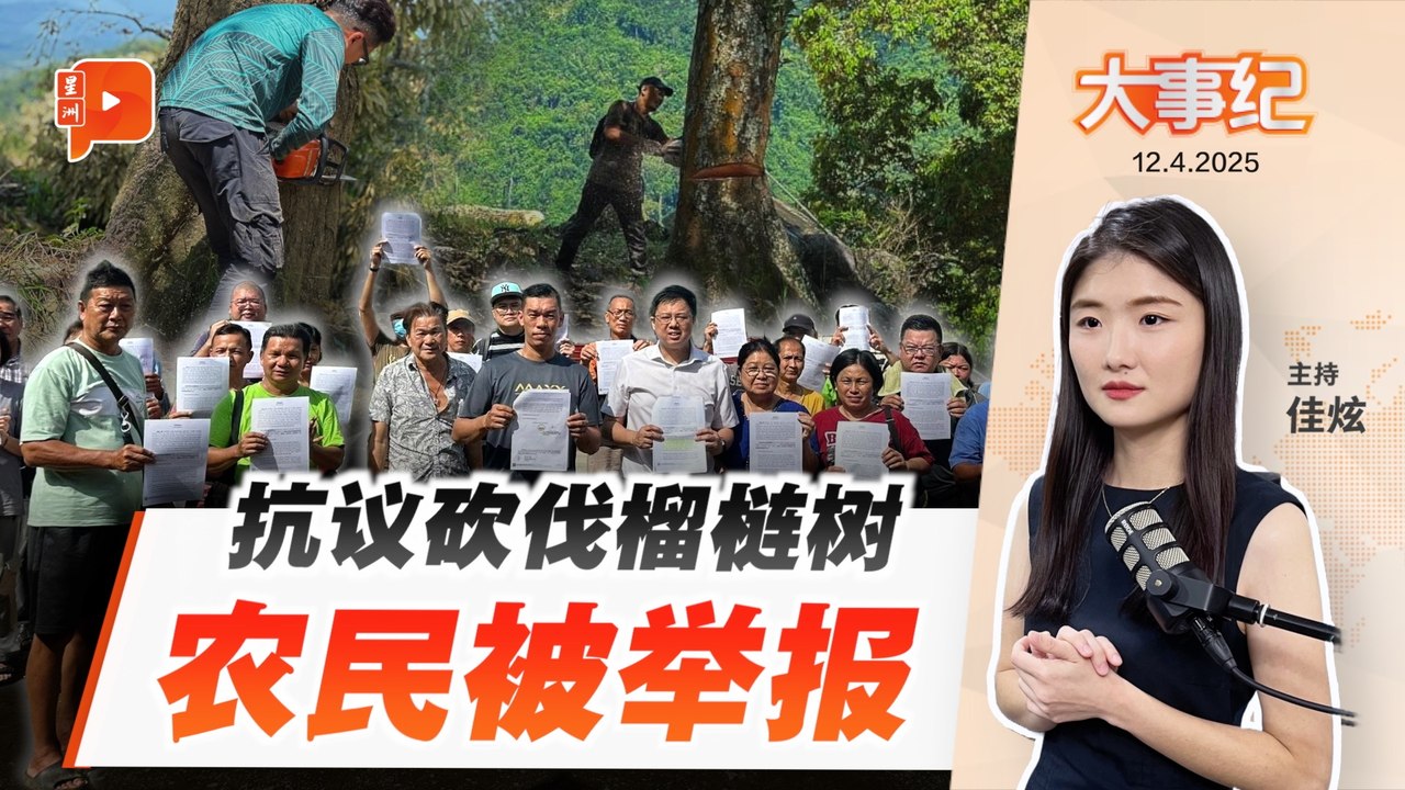 【百格大事纪】劳勿已逾千棵榴梿树被砍 农民抗议行动涉阻碍执法被举报 | 12.4.2025