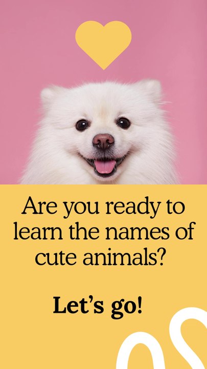 Learning Animal Names Part 2: Fun and Easy Animal Names for Kids | Jungle World #LearningAnimals #AnimalNamesForKids #JungleWorld #KidsLearning #AnimalEducation