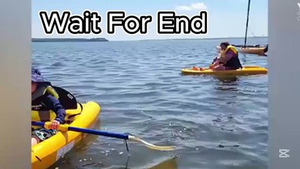 People Failing at Life | Funniest Human Fails Ever Caught on Camera