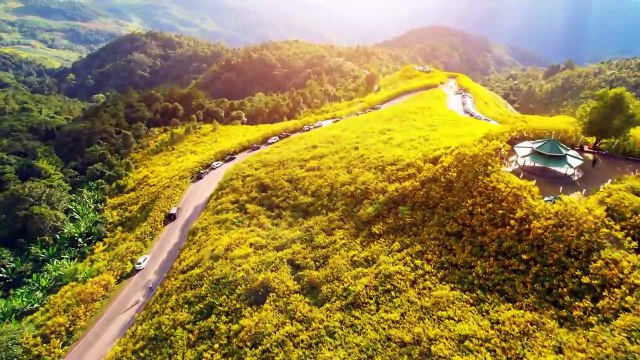 💥MUSIC POP💥Simple Minds Alive And Kicking (1985)💥ABONNES-TOI STP🙏💖 MERCI 🙏💖💥