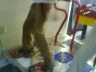 Canon D full remixed crazy CZ A