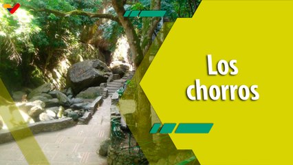 Dale Play | Parque de Recreación Los Chorros: Un lugar para el sano esparcimiento y la meditación