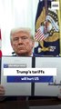 Economist: Trump’s tariffs will hurt US