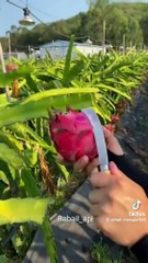 Fun,, Entertainment And Comedy