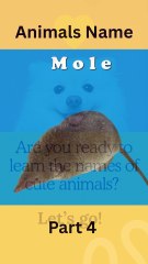 Learning Animal Names with Pictures – Part 4 | Jungle World #AnimalNames #KidsLearning #JungleWorld