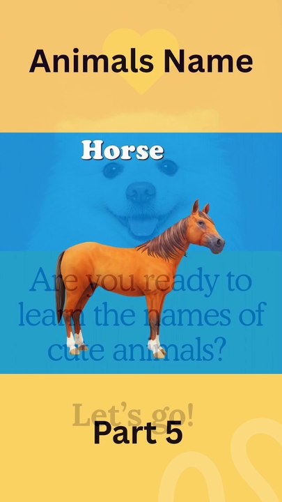 Learning Animal Names Part 5 🦁🐯 #learning #animals #kids #education #funlearning #animalnames #kidslearning #animalsforkids