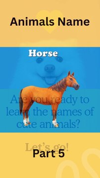 Learning Animal Names Part 5 🦁🐯 #learning #animals #kids #education #funlearning #animalnames #kidslearning #animalsforkids