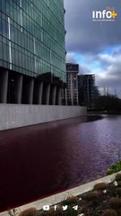 الماء بلون الدم