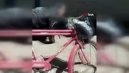 Madde bağımlıları yerlerde yuvarlandı