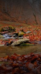 Surah Ar-Rum 30:17-18 سورة الروم