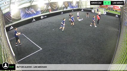 But de Alexis - LES MECHAN