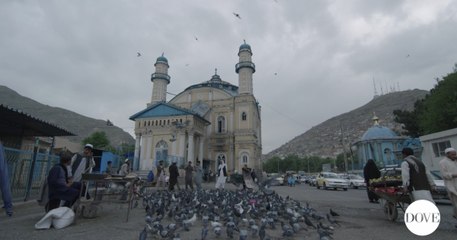 Afghanistan, natura, città e cultura
