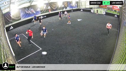 But de Emile - LES MECHAN