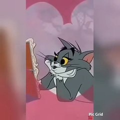 🐾 Welcome to our pawsome world of FelineAndCanine! 🌟 In this exciting vid