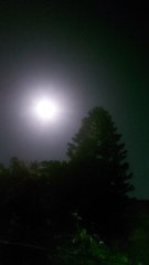 Raton ko tera chand ban k aun ga🌙