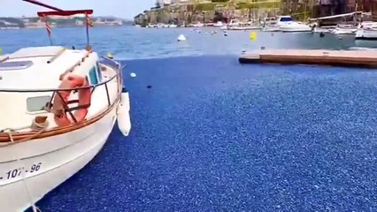 Des millions de méduses bleues envahissent les côtes espagnoles