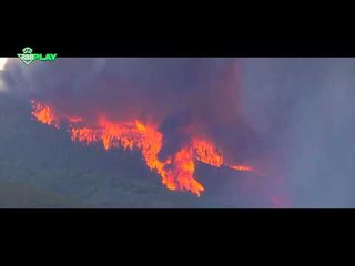 El #Betis se sensibiliza con la prevención de incendios forestales