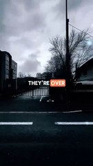 I don't have a single to spare for what people think of me #BR3 #motivation #success #successful #inspiration