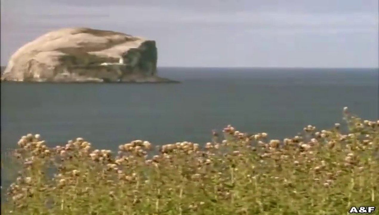 Rosamunde Pilcher -016- Irrwege des Herzens