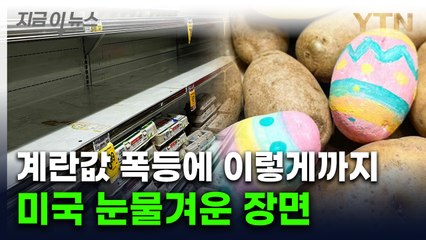 '가짜여도 상관 없어'...천정부지 계란값에 미국서 나타난 기현상 [지금이뉴스] / YTN