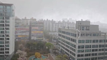 비바람 몰아쳐 경기 수원 매탄동 일대 정전 / YTN