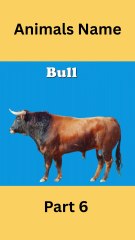 Learning Animals Name Part 6 #learning #animals #animalnames #kidslearning #toddlers #babyanimals #cutekids #jungleworld