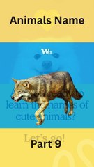 Learning Animals Name Part 9 #learning #animals #animalnames #kidslearning #toddlers #babyanimals #cutekids #jungleworld