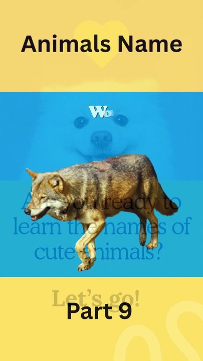 Learning Animals Name Part 9 #learning #animals #animalnames #kidslearning #toddlers #babyanimals #cutekids #jungleworld