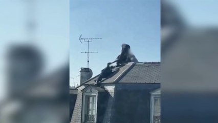 Seine-Saint-Denis : arrestation périlleuse d’un individu sur un toit à Villemomble (vidéo)