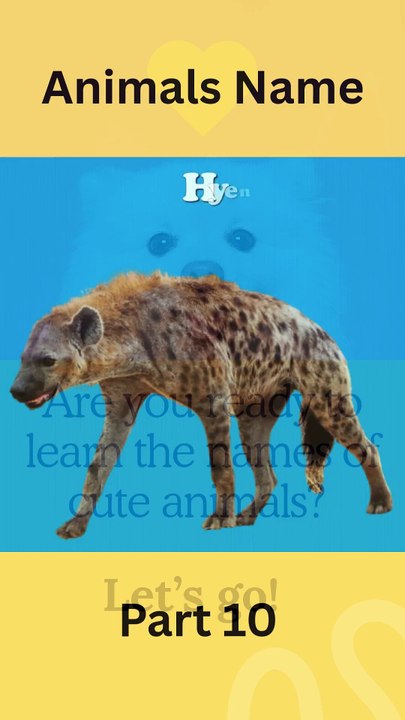 Learning Animals Name Part 10 #learning #animals #animalnames #kidslearning #toddlers #babyanimals #cutekids #jungleworld