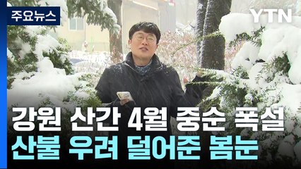 4월 중순에 폭설...봄꽃 대신 눈꽃 핀 강원 산지 / YTN
