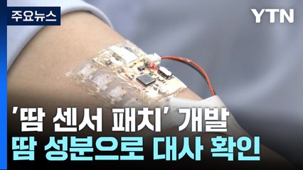 땀 한 방울로 건강 상태 확인한다...'땀 센서 패치' 개발 / YTN
