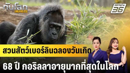 สวนสัตว์เบอร์ลินฉลองวันเกิด 68 ปี กอริลลาอายุมากที่สุดในโลก |ทันโลก EXPRESS | 13 เม.ย. 68