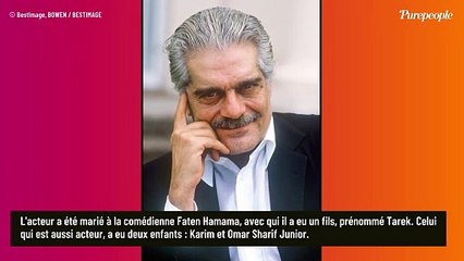 Omar Sharif Jr. : Le petit-fils de l'acteur est comédien, mannequin, pentalingue et très engagé