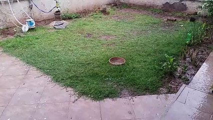 Hail Storm / Raining / Pakistan