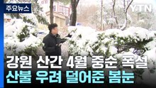 4월 중순에 폭설...봄꽃 대신 눈꽃 핀 강원 산지 / YTN