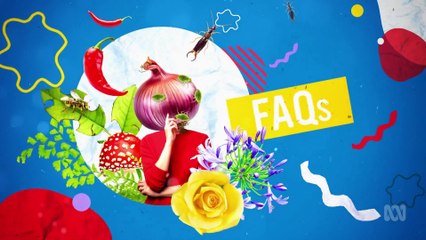 Gardening Australia 2025 Episode 7 🌿 | Expert Tips & Fresh Ideas