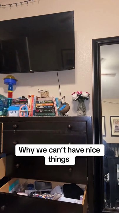 Why we can't have nice things