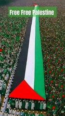 Free Palestine 🇵🇸 l #shorts #Free_Free_Palestine #islamicshorts #islamicvideo #islamic #palestine