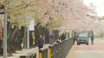 [날씨] 휴일, 오락가락한 날씨...강풍 불며 '쌀쌀' / YTN