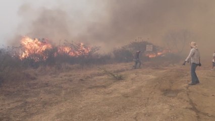 Voluntarios se apresuran a apagar las llamas mientras un incendio arrasa el estado de Oaxaca, en el sur de México.