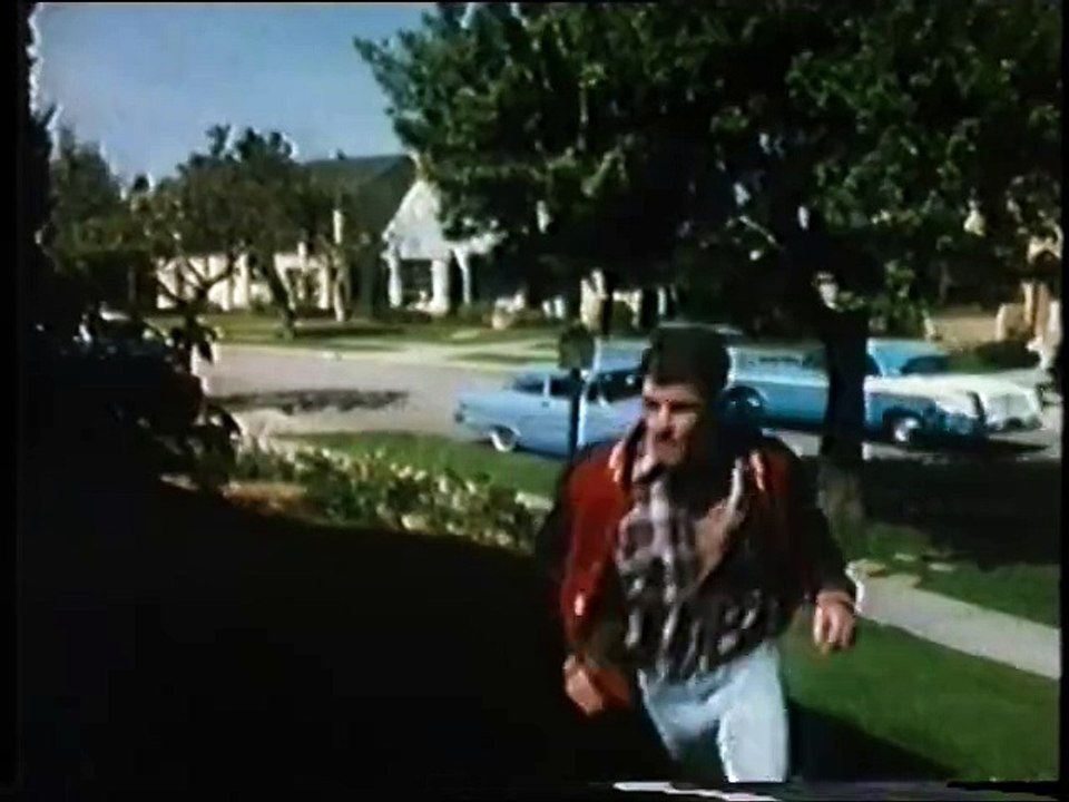 Stoßtrupp Durch Die Grüne Hölle