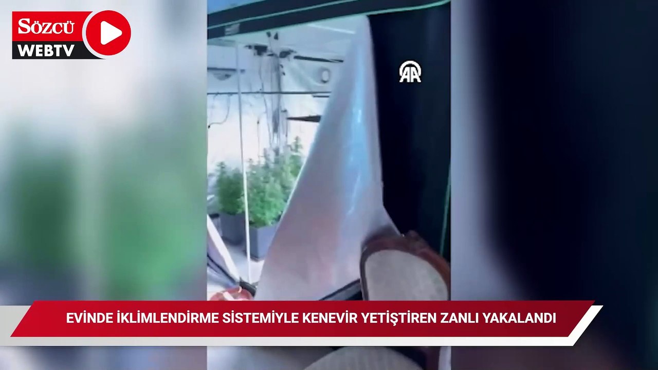 Evinde iklimlendirme sistemiyle kenevir yetiştiren zanlı yakalandı