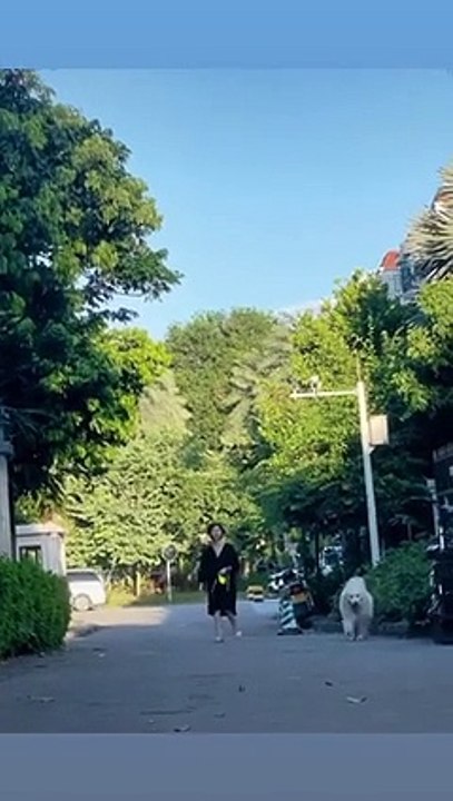 The World of Playful Pups - Episode 62