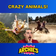 Animal Fails That Had Us Howling! 😂 The Dudes REACT!