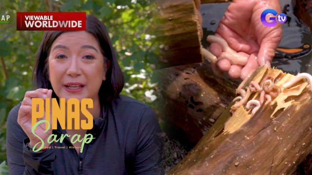 Ginataang kimpi na may pako ng mga taga-Aurora, ano nga ba ang lasa?| Pinas Sarap