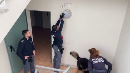 Catania, sequestrata marijuana nascosta in una plafoniera